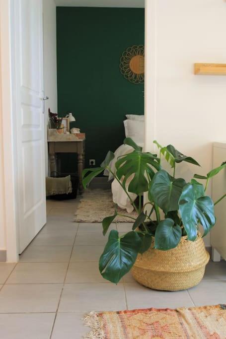 Cosy Appartement Entre Vignes Et Garrigue Avec Piscine Peret Exterior photo